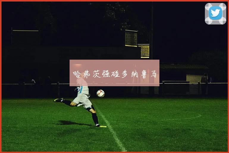 哈弗茨强碰多纳鲁马