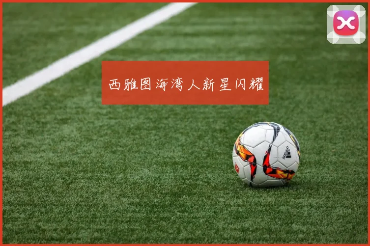 西雅图海湾人新星闪耀