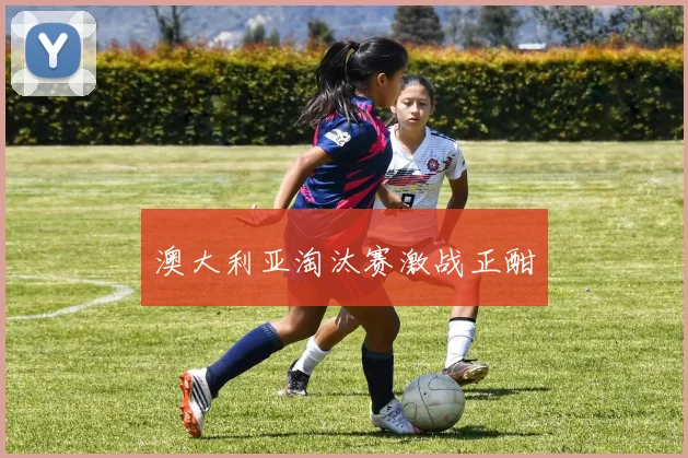 澳大利亚淘汰赛激战正酣
