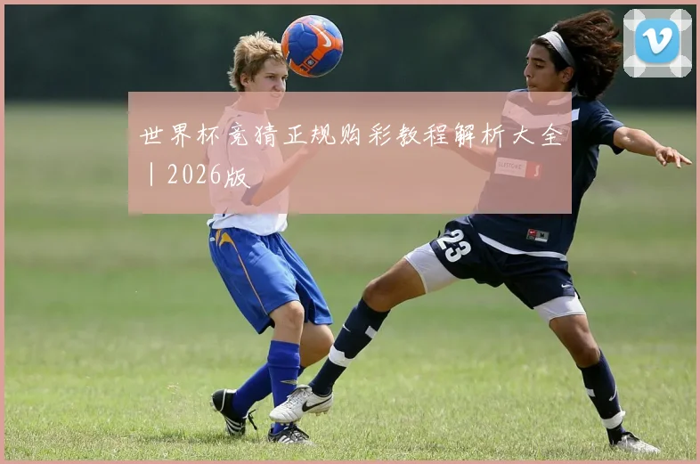 世界杯竞猜正规购彩教程解析大全｜2026版