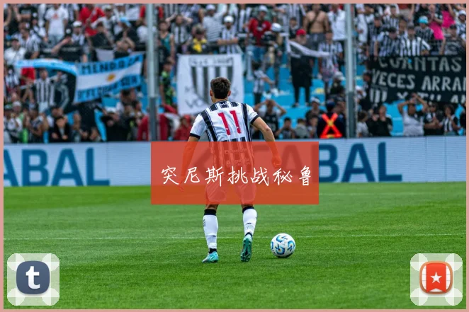 突尼斯挑战秘鲁