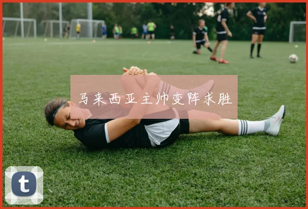 马来西亚主帅变阵求胜