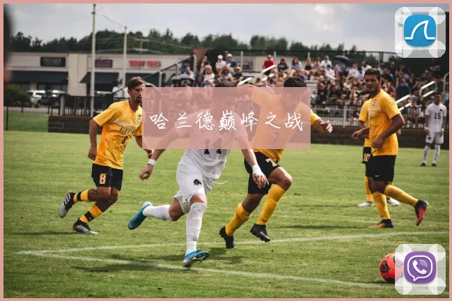 哈兰德巅峰之战