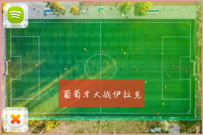 葡萄牙大战伊拉克