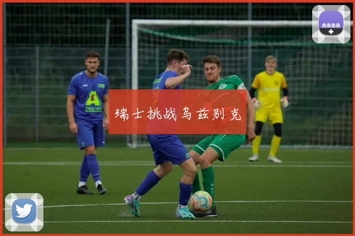 瑞士挑战乌兹别克
