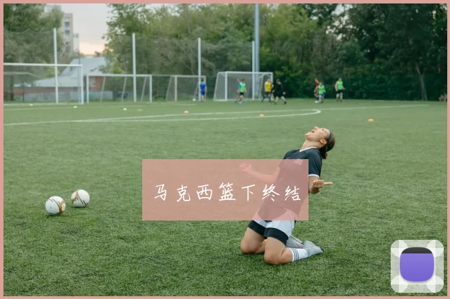 马克西篮下终结