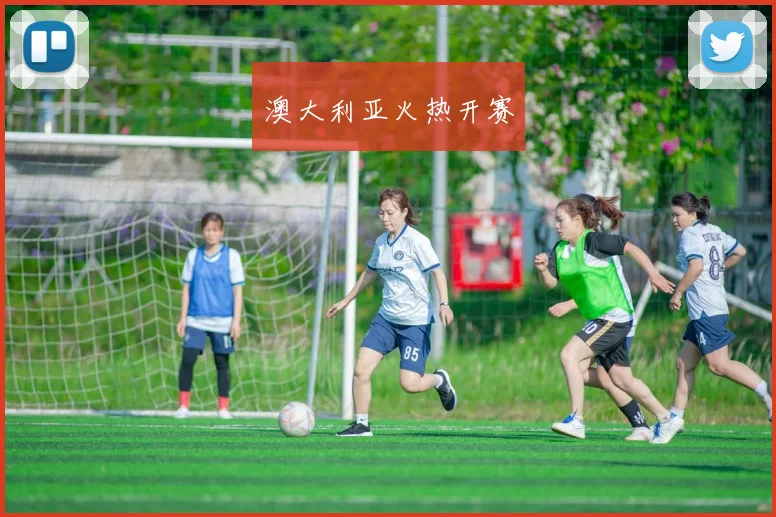 澳大利亚火热开赛