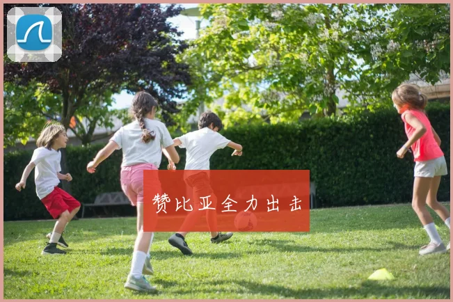 赞比亚全力出击