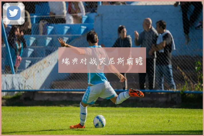 瑞典对战突尼斯前瞻