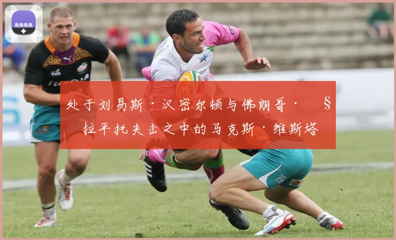 处于刘易斯·汉密尔顿与佛朗哥·科拉平托夹击之中的马克斯·维斯塔潘虽勉强守住第六名