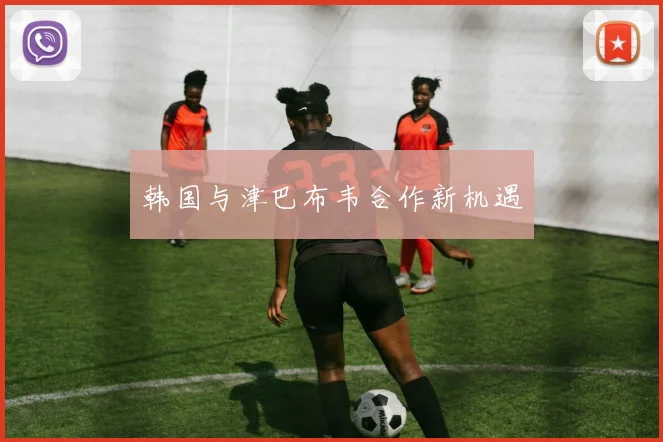 韩国与津巴布韦合作新机遇