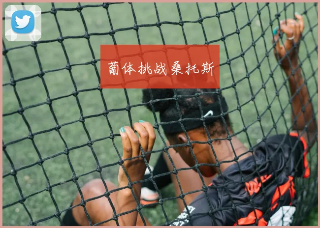 葡体挑战桑托斯
