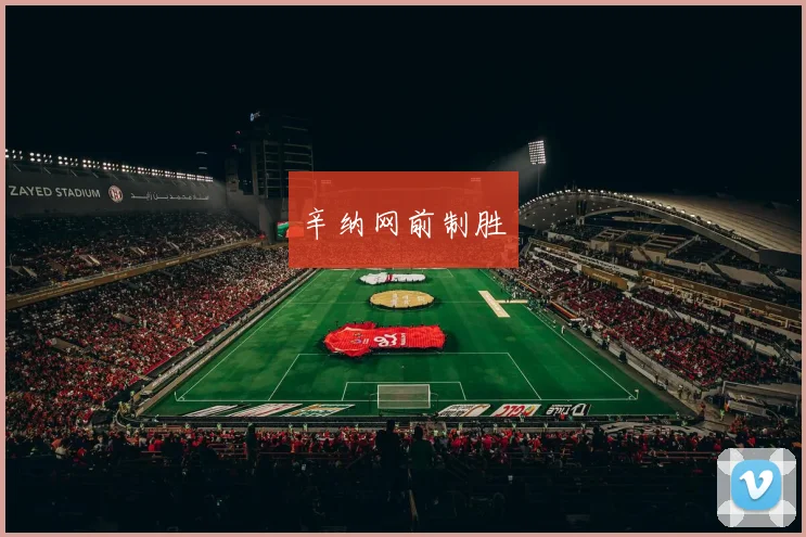 辛纳网前制胜