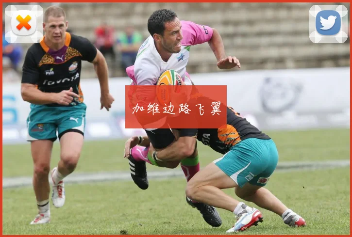 加维边路飞翼