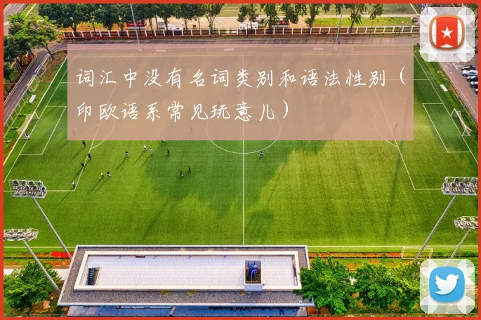 词汇中没有名词类别和语法性别（印欧语系常见玩意儿）
