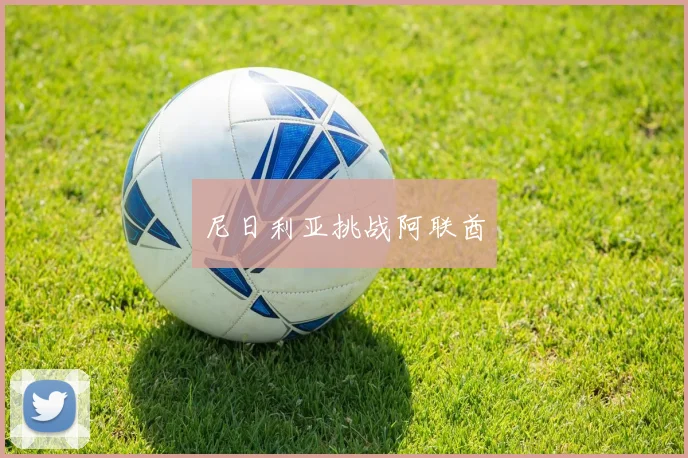 尼日利亚挑战阿联酋