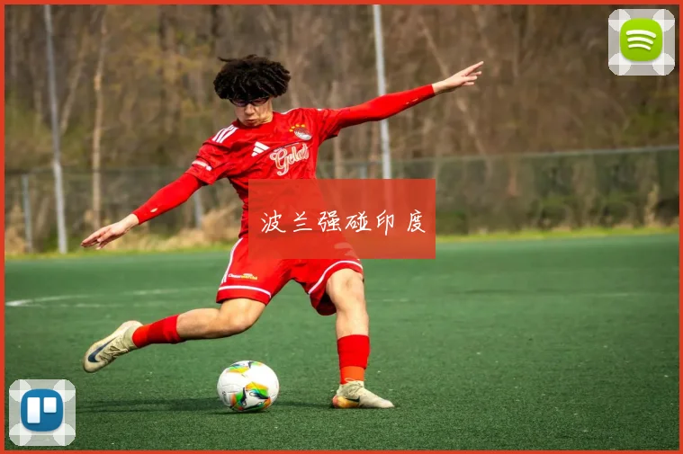 波兰强碰印度