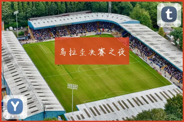 乌拉圭决赛之夜