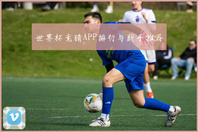 世界杯竞猜APP排行与新手推荐
