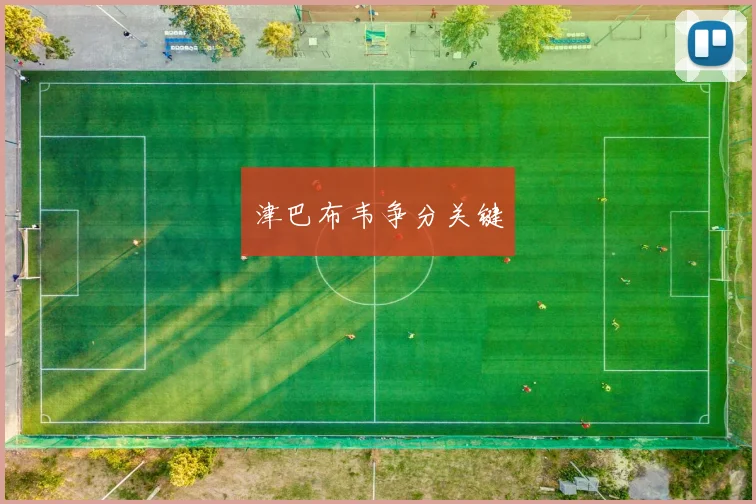津巴布韦争分关键