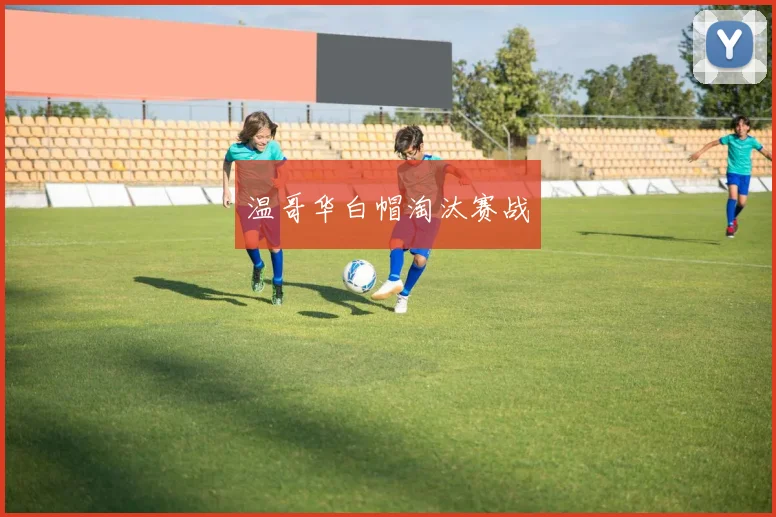 温哥华白帽淘汰赛战