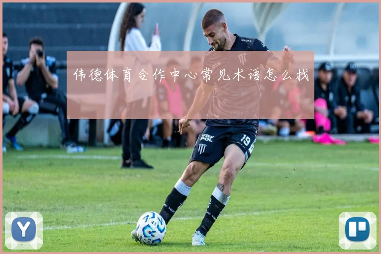 伟德体育合作中心常见术语怎么找